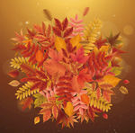 秋季金色彩色树叶