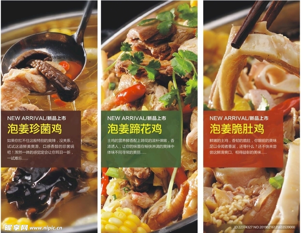 泡姜雞