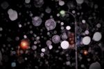 雪