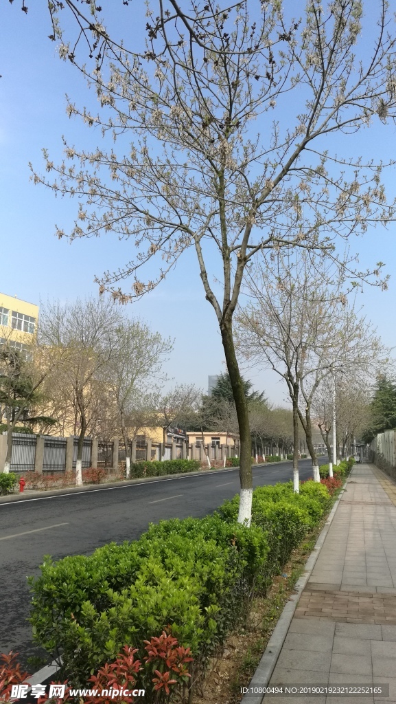 走過四季