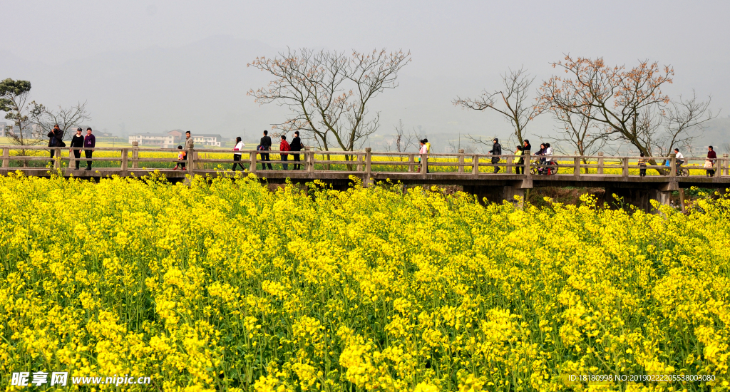 自然風(fēng)景