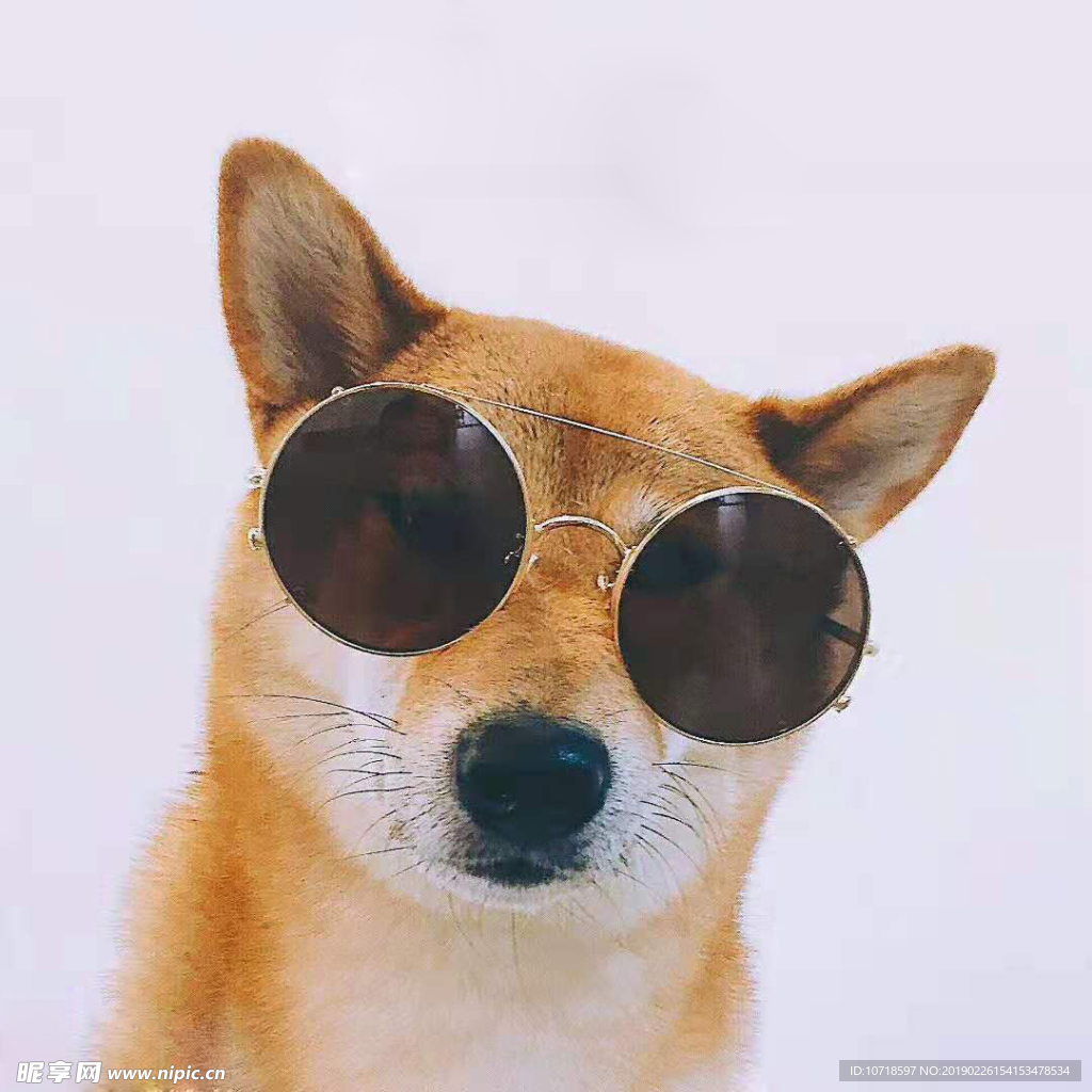 狗頭