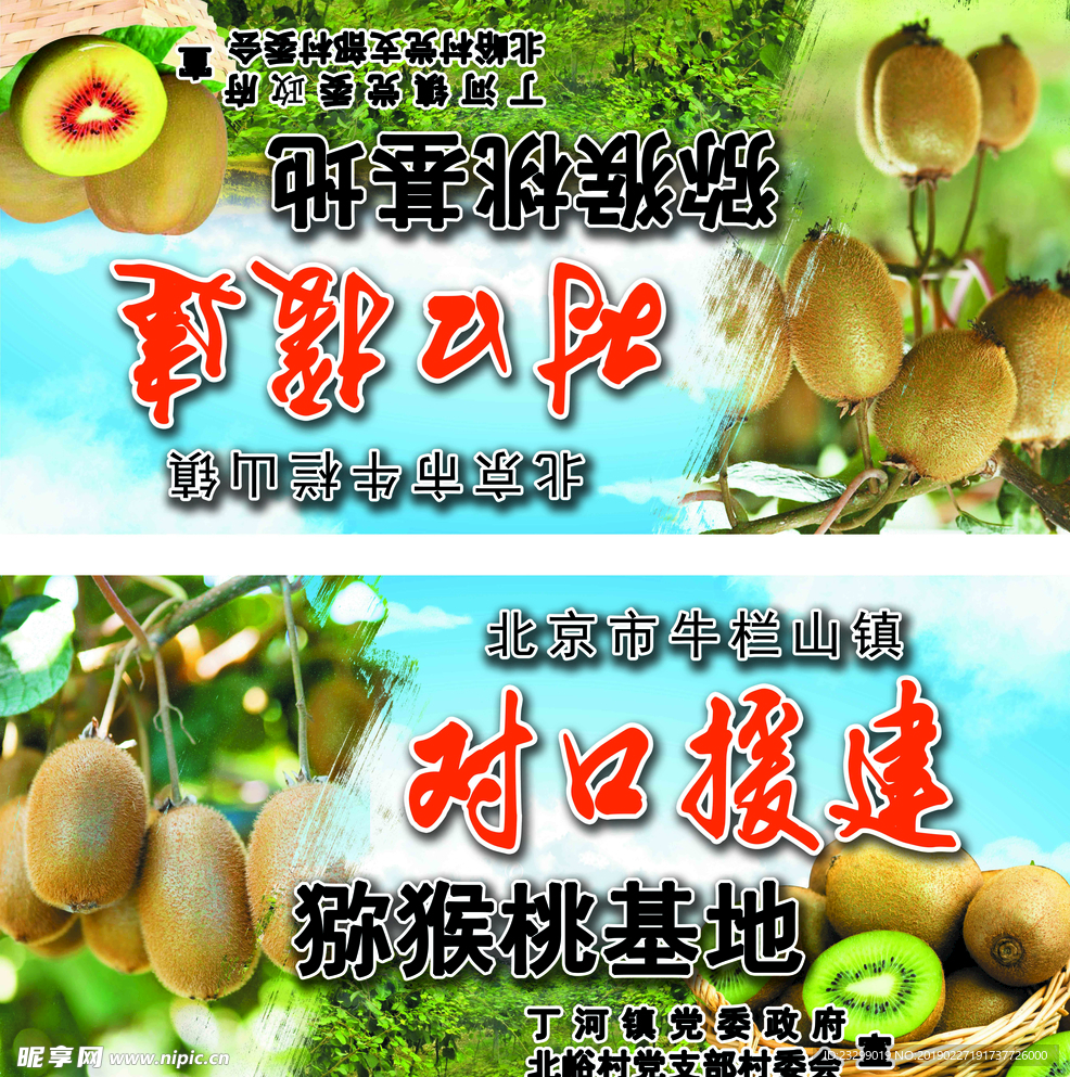 獼猴桃