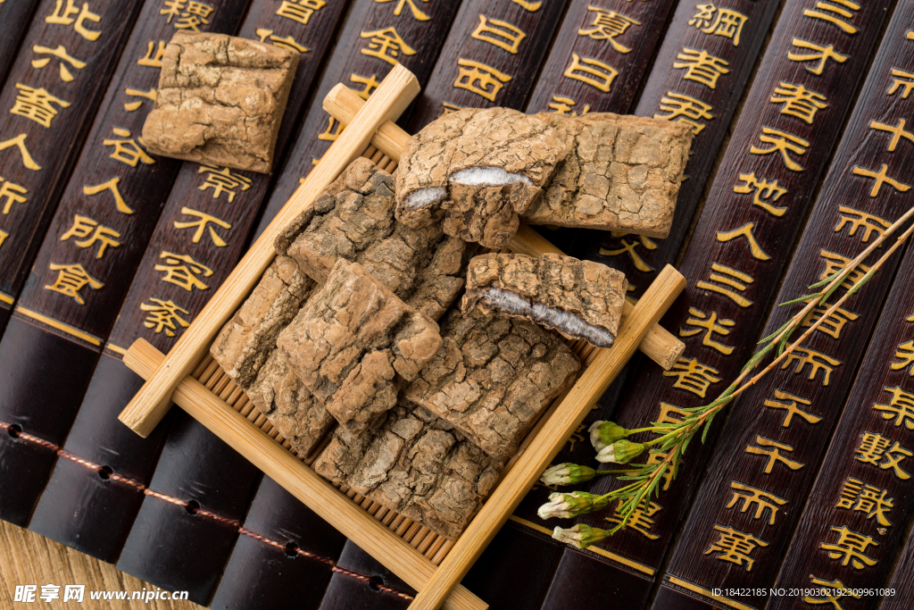 杜仲