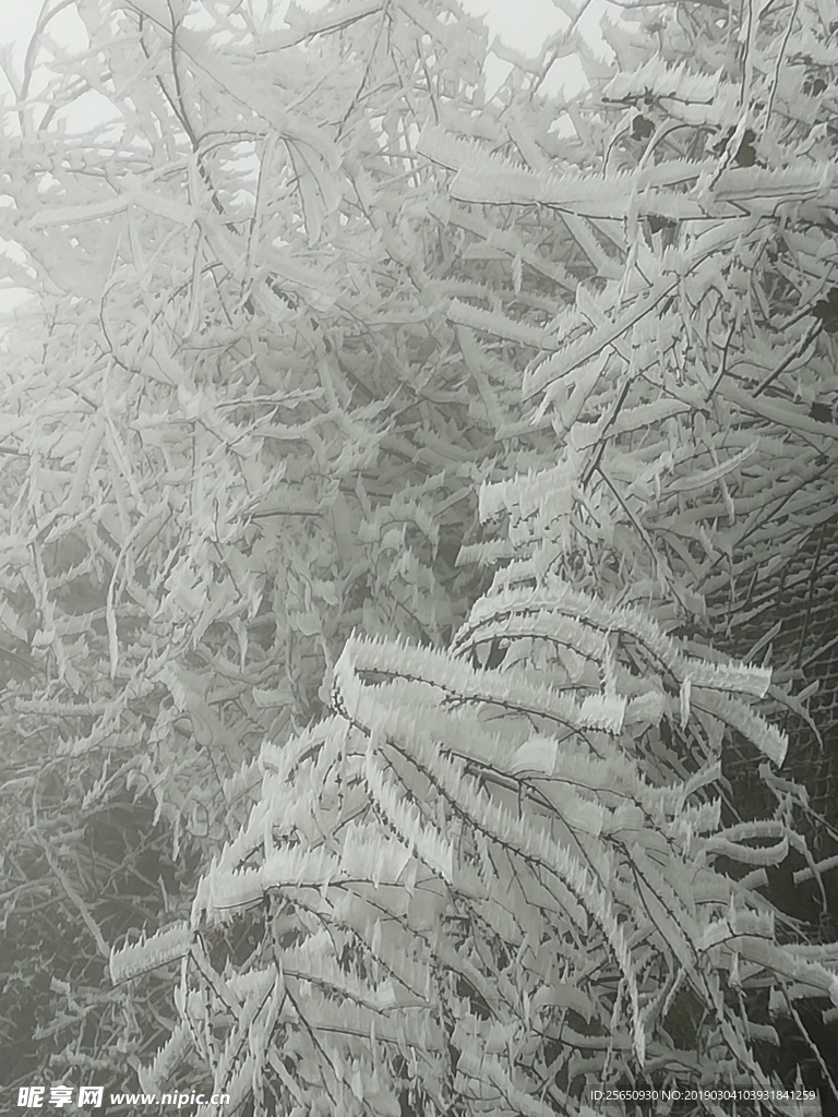 冰雪