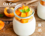 oz cow 手工酸奶