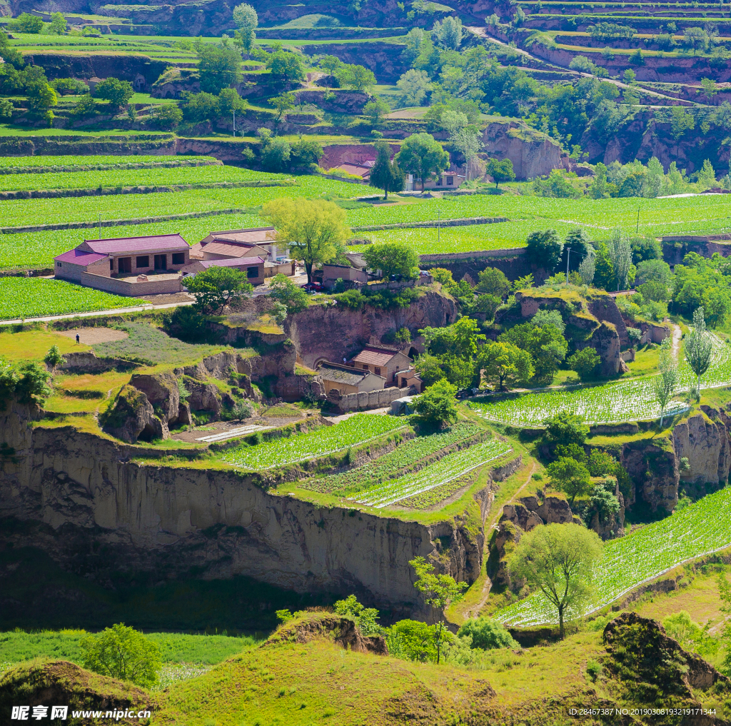 鄉村即景