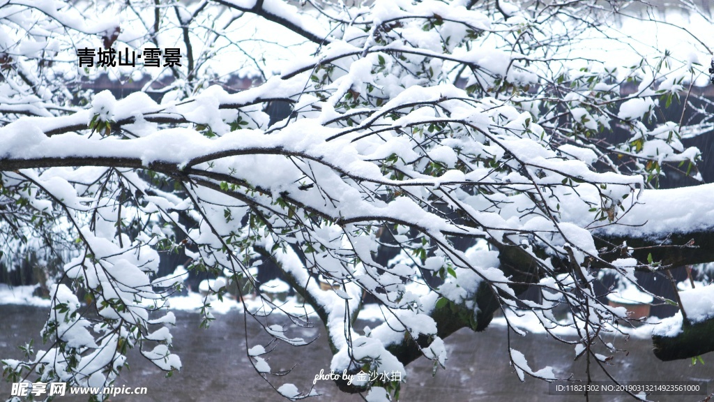 风雪青城山