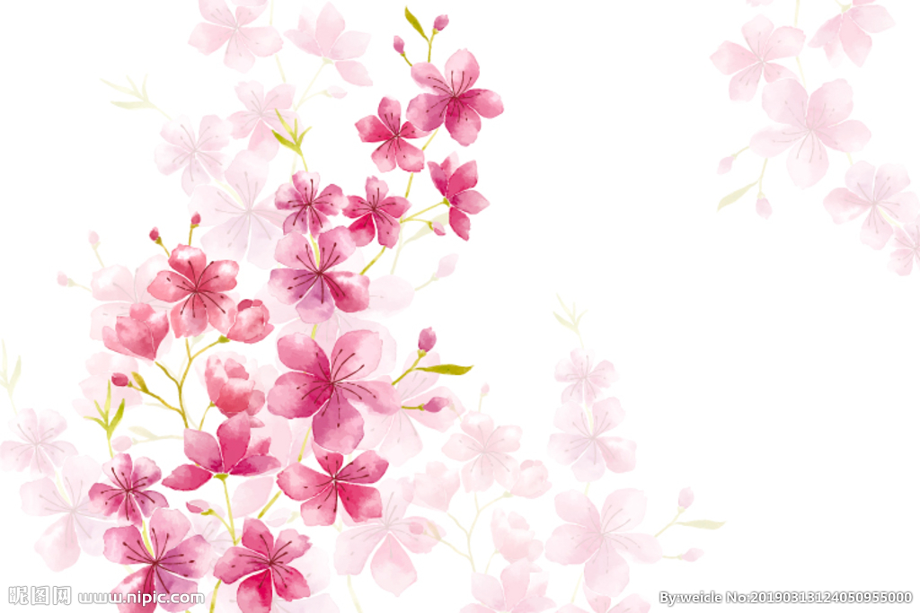 粉红色植物花朵花卉树叶手绘背景