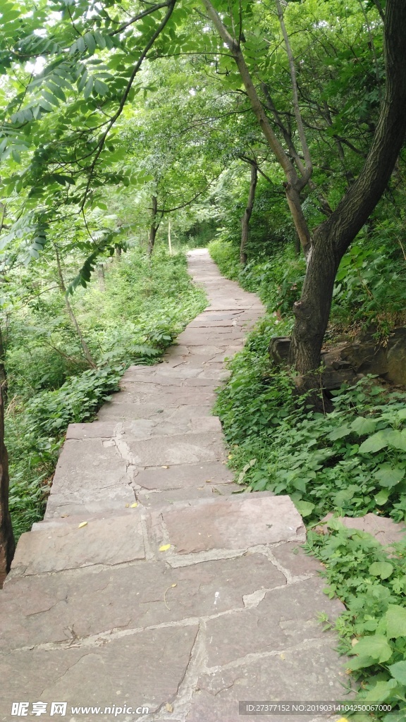嶂石巖風景