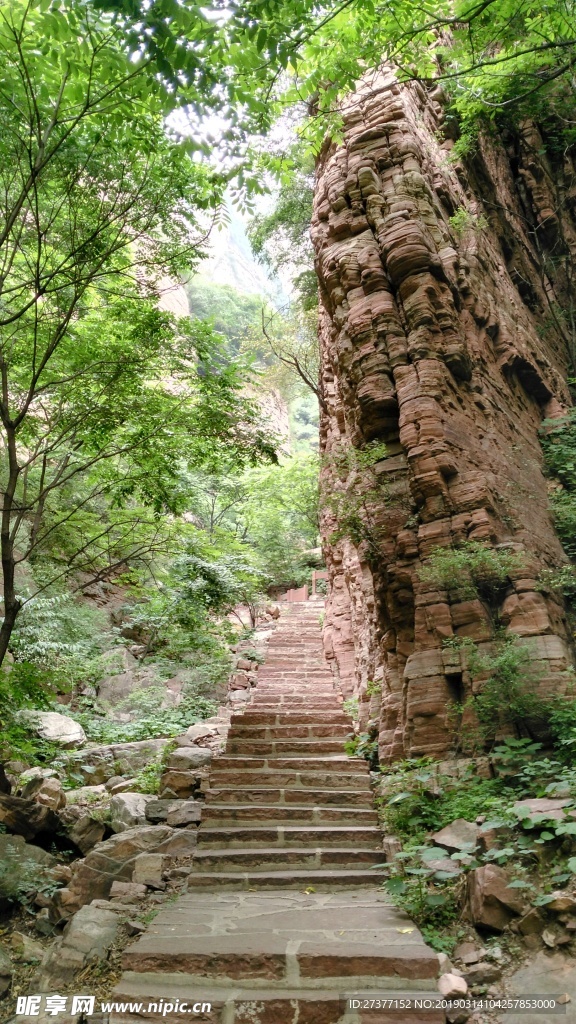 嶂石巖 森林公園