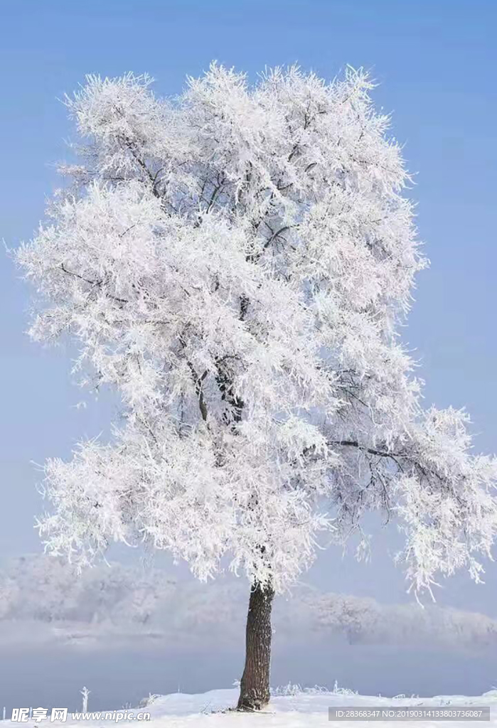 冬天霧掛