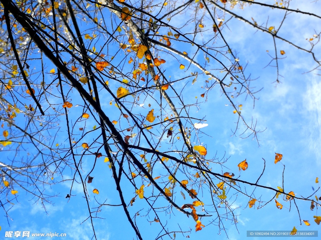 唯美秋日風(fēng)景