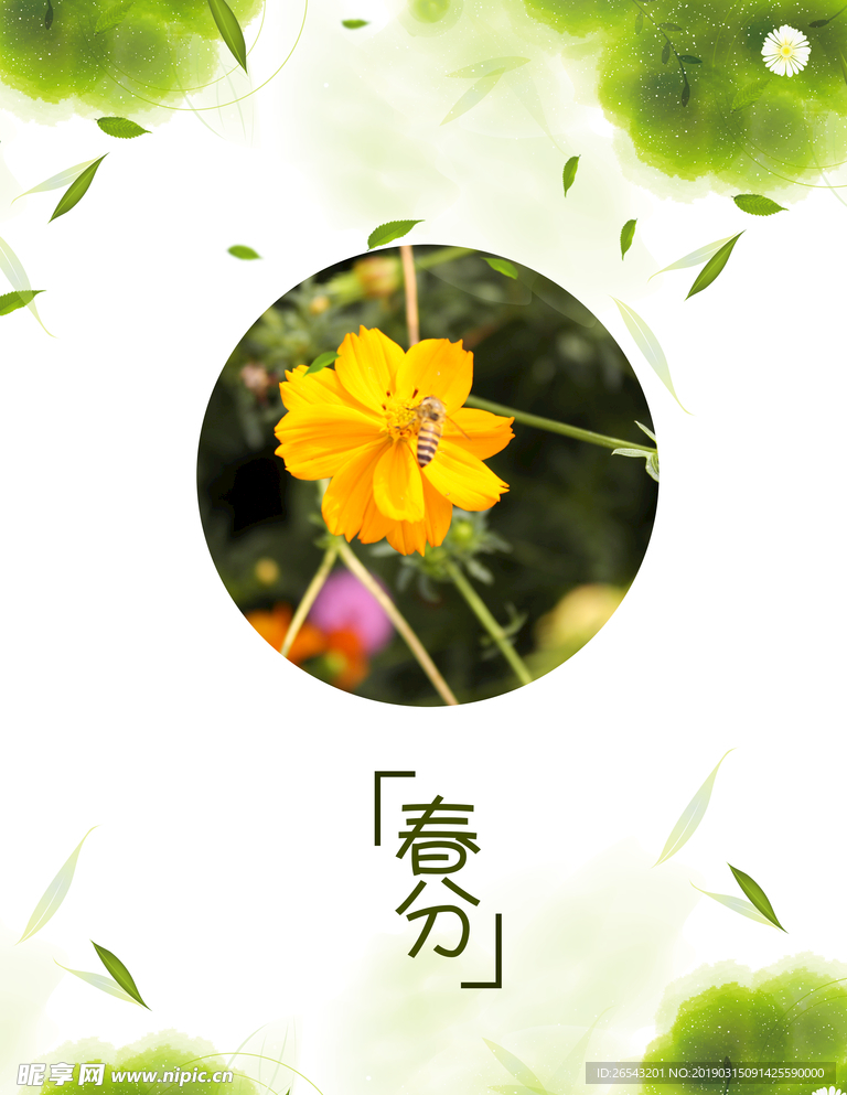 二十四節氣春分海報