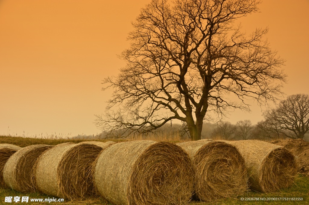 稻草包秸秆农业收获8k图片