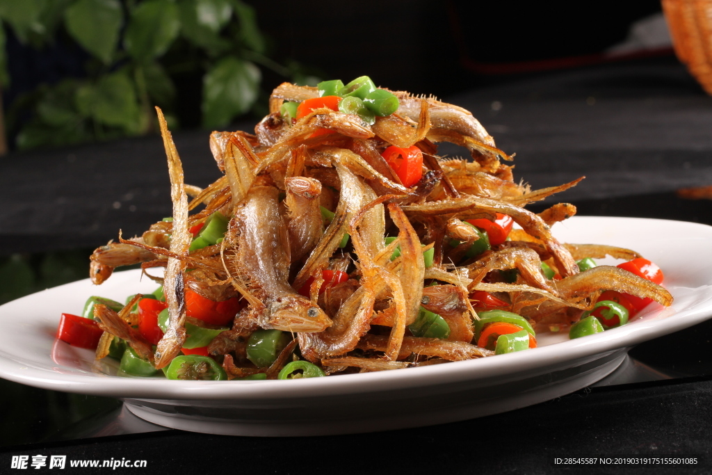 尖椒毛刀魚(yú)