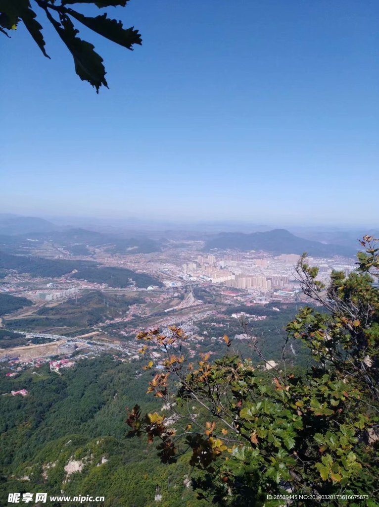 俯視