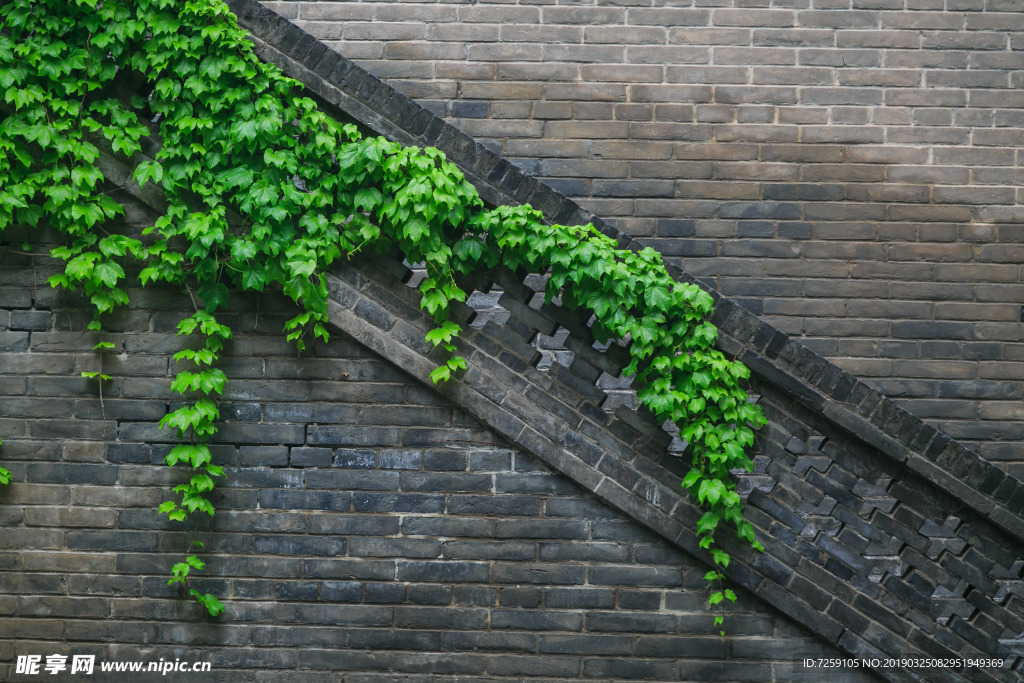 古建筑春意
