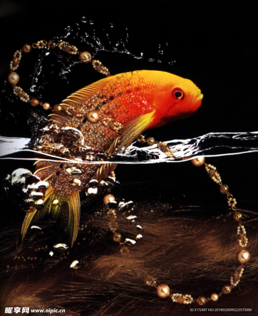 金魚