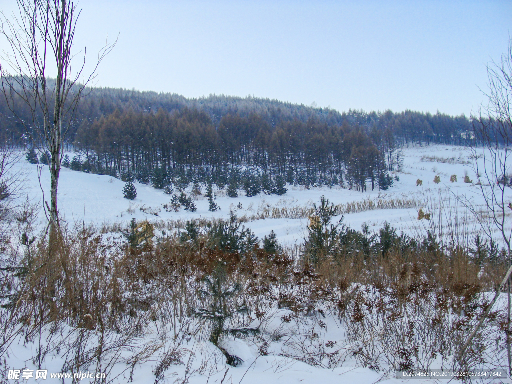 松嶺雪村