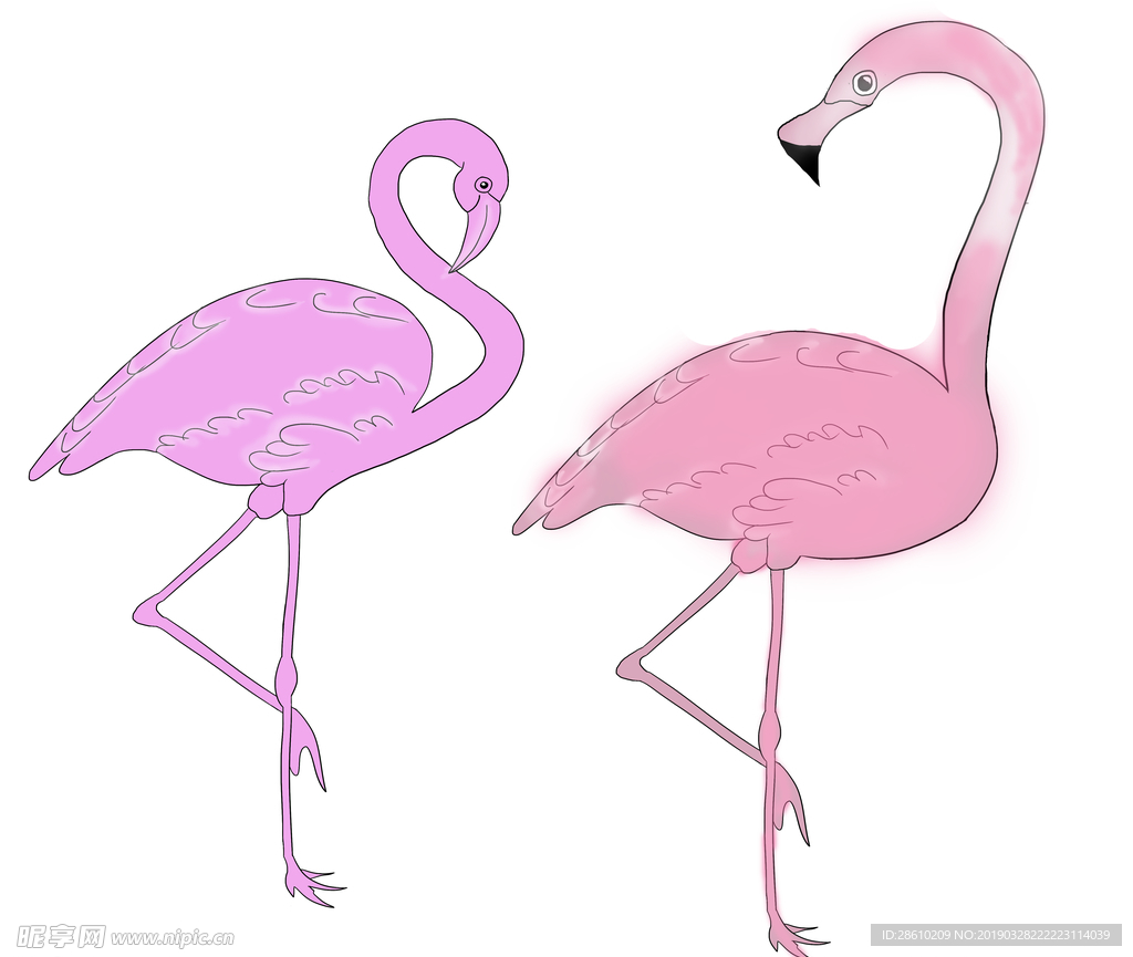 火烈鳥