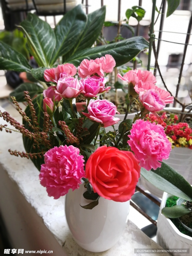 玫瑰花和康乃馨