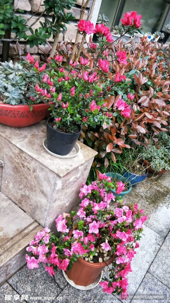 花草樹木