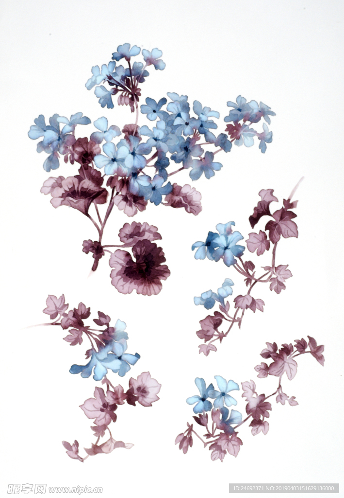 手繪 花卉 中國風(fēng)