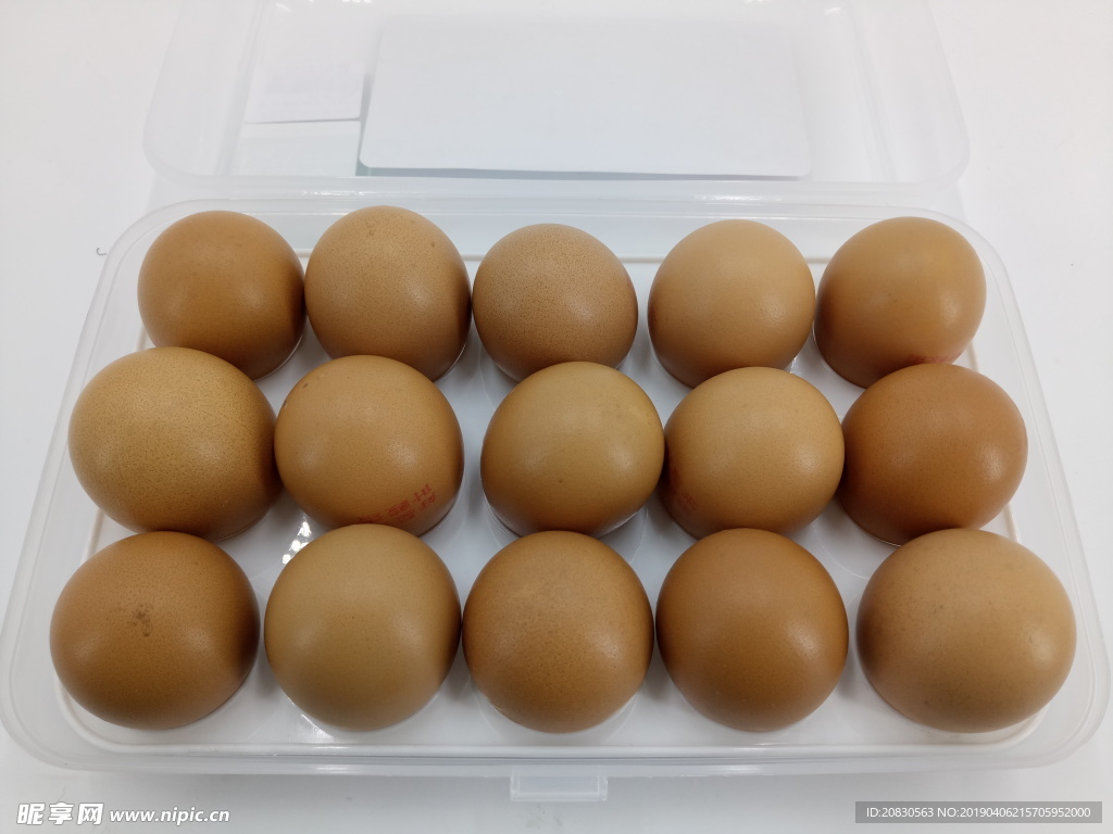 雞蛋