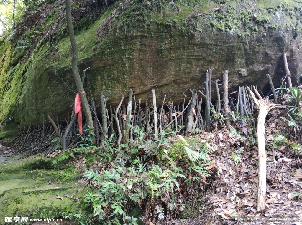 愿力撐山