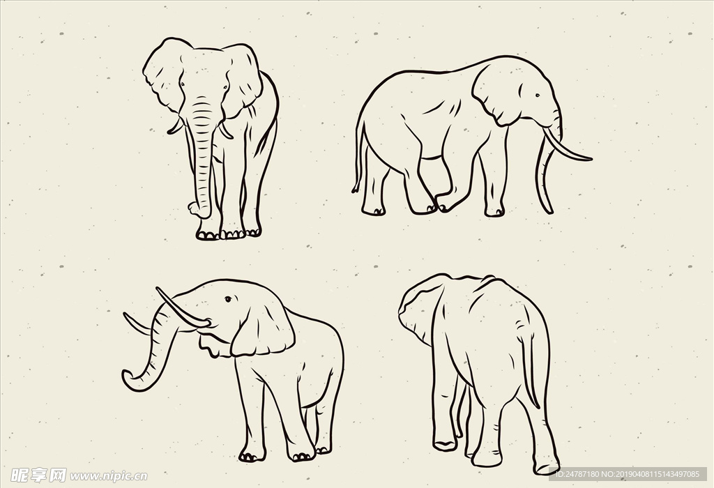 矢量大象集合