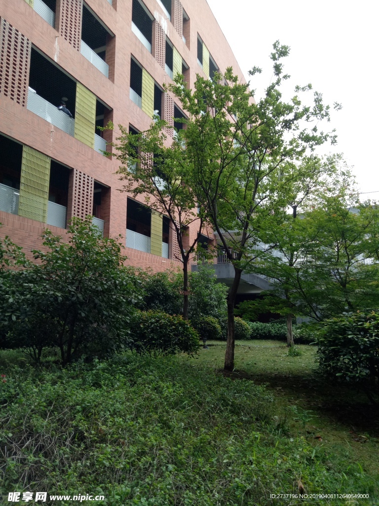 大橋中學