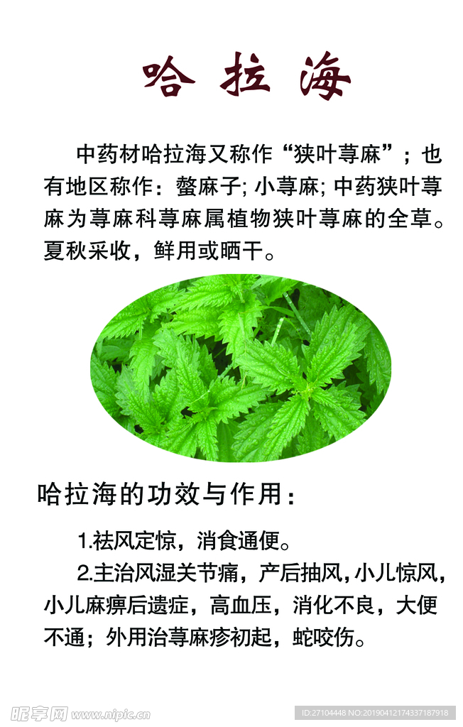 哈拉海
