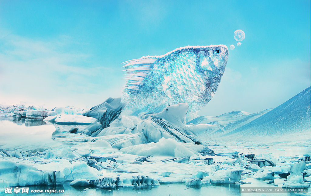 冰冻的鱼