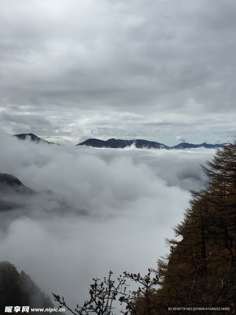 太白山云海