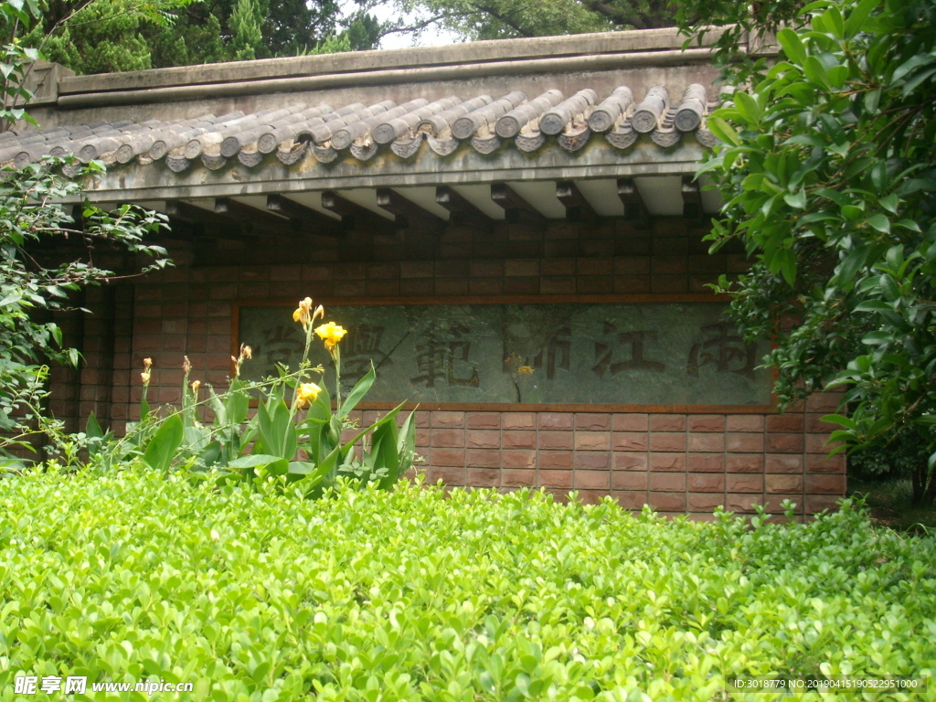 金陵大學