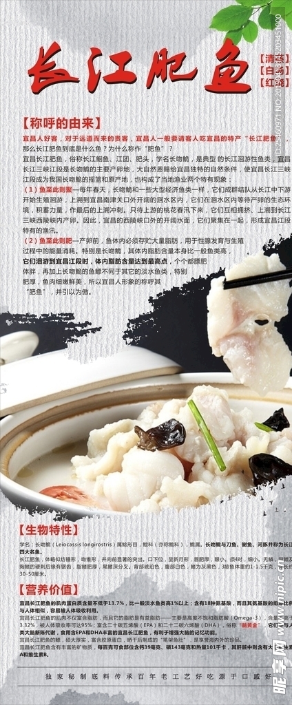 肥魚(yú)展架