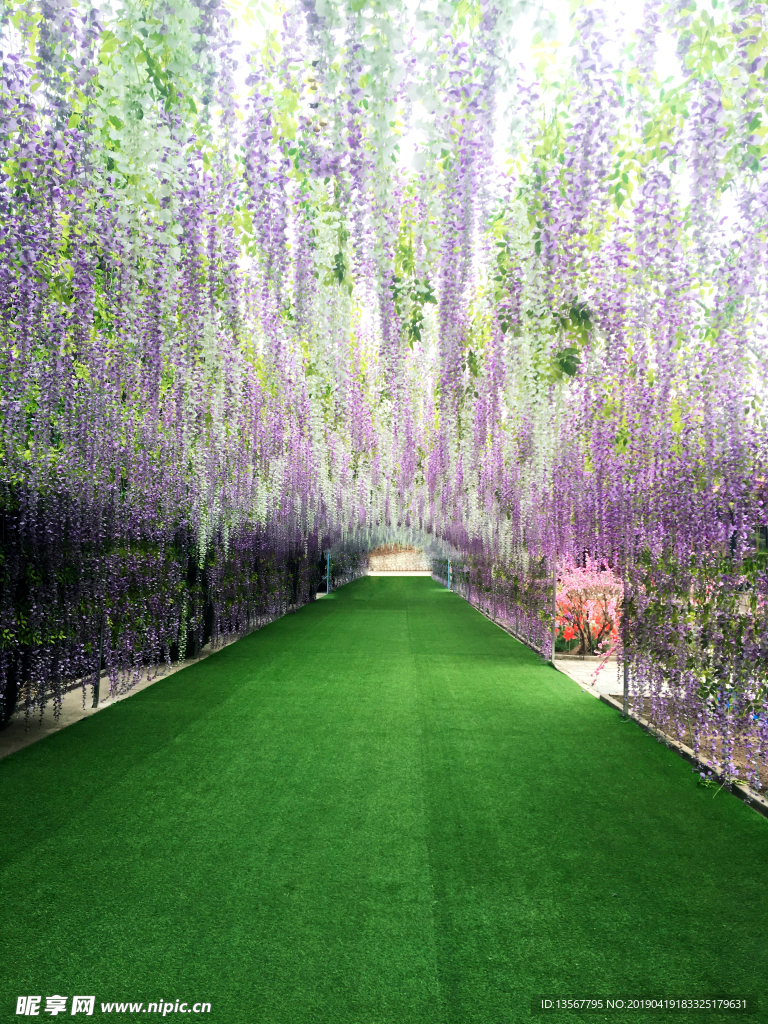 紫色花廊