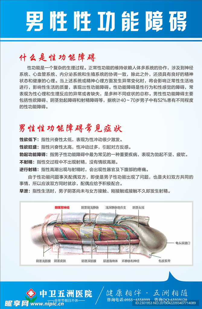 性功能障碍