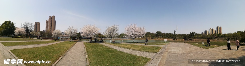 公園美景