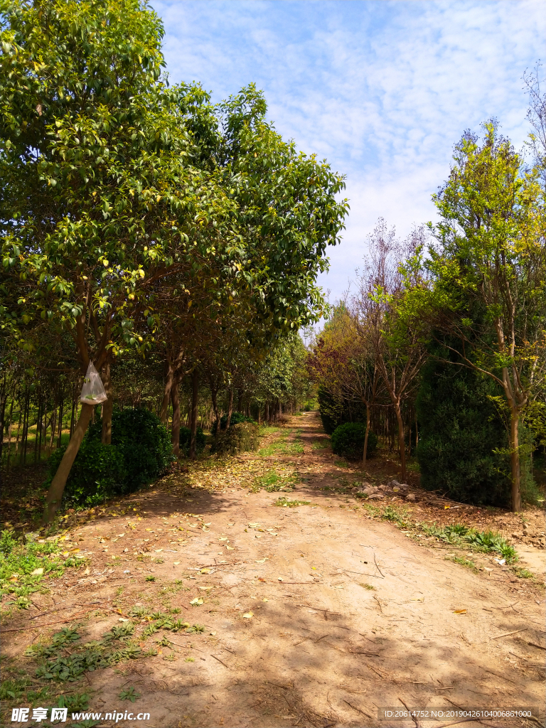 鄉村田園風景