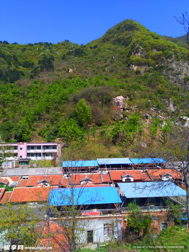 美麗的高山風景