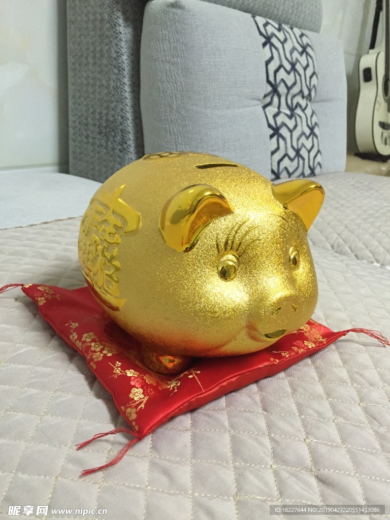 金豬