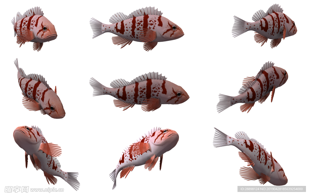 3D 魚