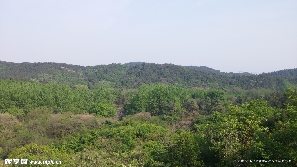 蔣軍山