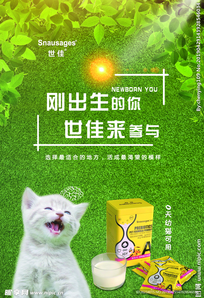 宠物海报 素材 产品海报