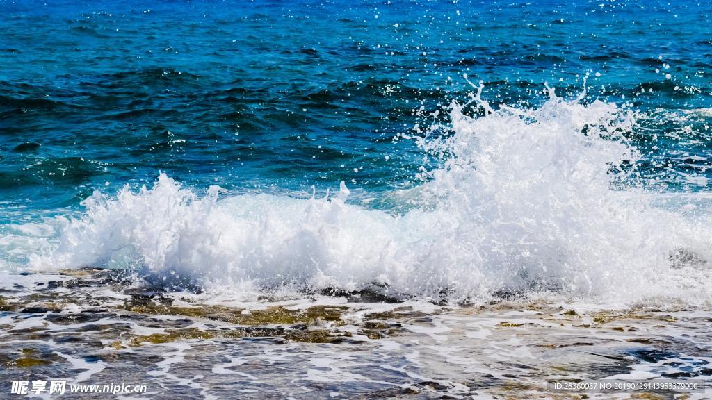 海浪花