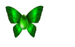 绿蝴蝶加绿宝石