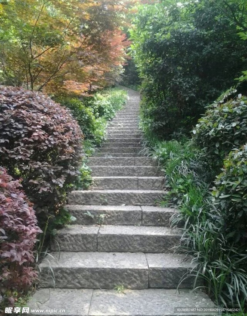 林蔭小路