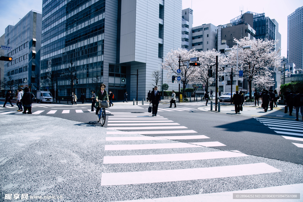 馬路街景照片